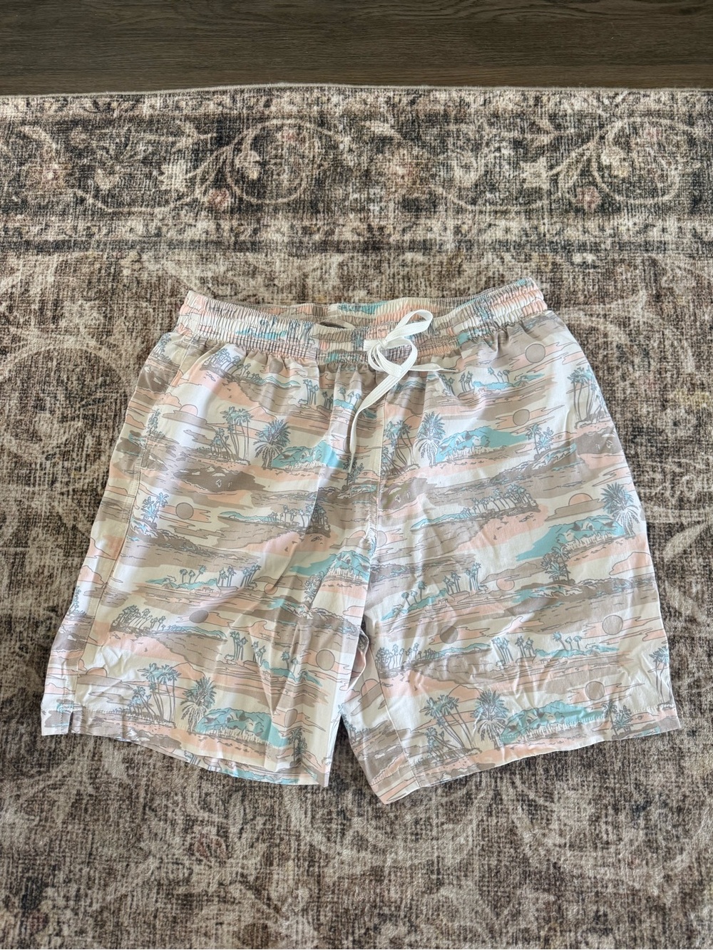 chubbies Pastel Beach Print Swim Trunks - Light Blue & Pale Pink
